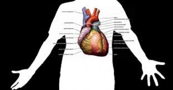 hướng dẫn chẩn đoán và điều trị bệnh tim phổi mạn