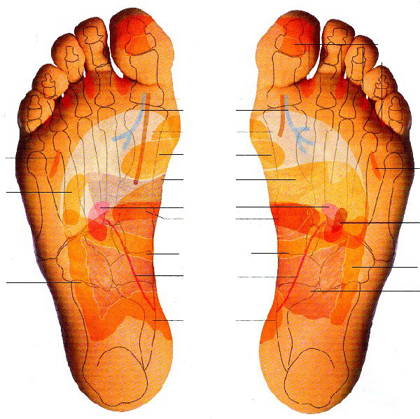 Phương pháp massage khu phản xạ bàn chân trị bệnh