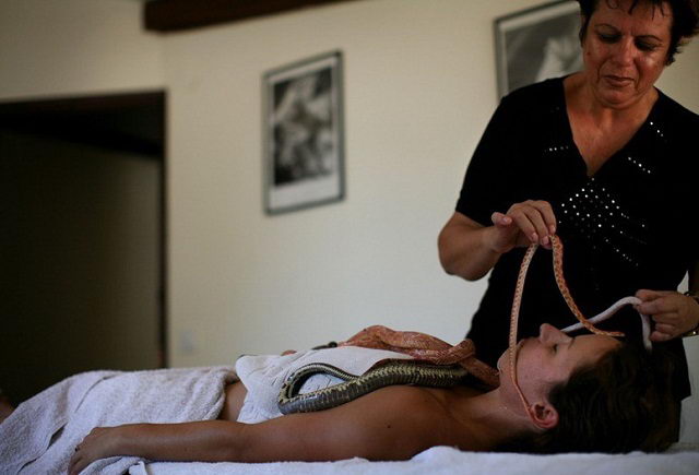 Liệu pháp massage bằng rắn ở Israel
